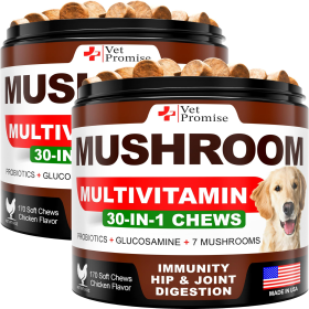 2 Pack Mushroom for Dogs 340 Chews Turkey Tail Mushroom