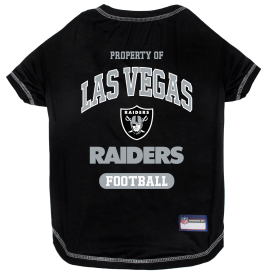 Raiders Tee Shirt (size: XL)